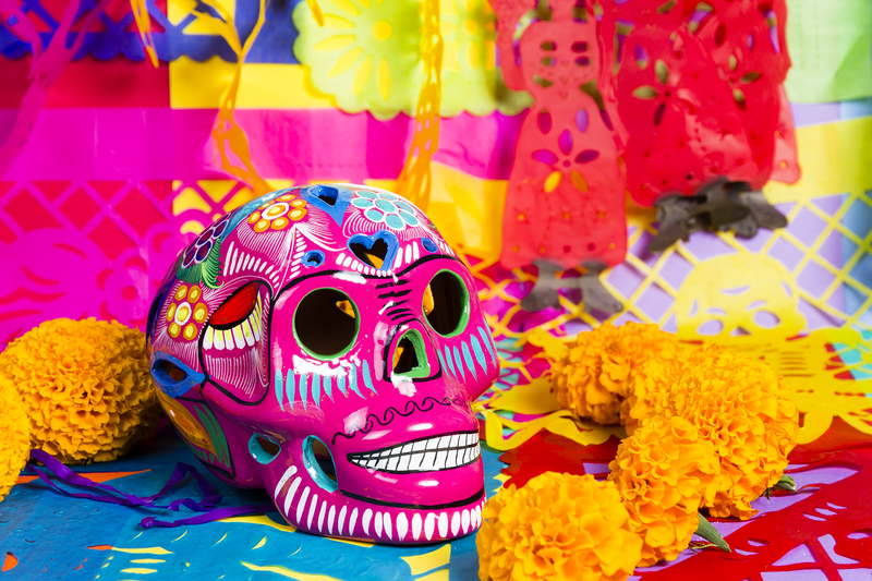 flowers / brightest flowers