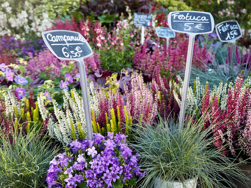 https://flowerdeliveryickenham.co.uk/blog/real-cost-of-last-minute-flowers-in-ickenham-and-alternatives/