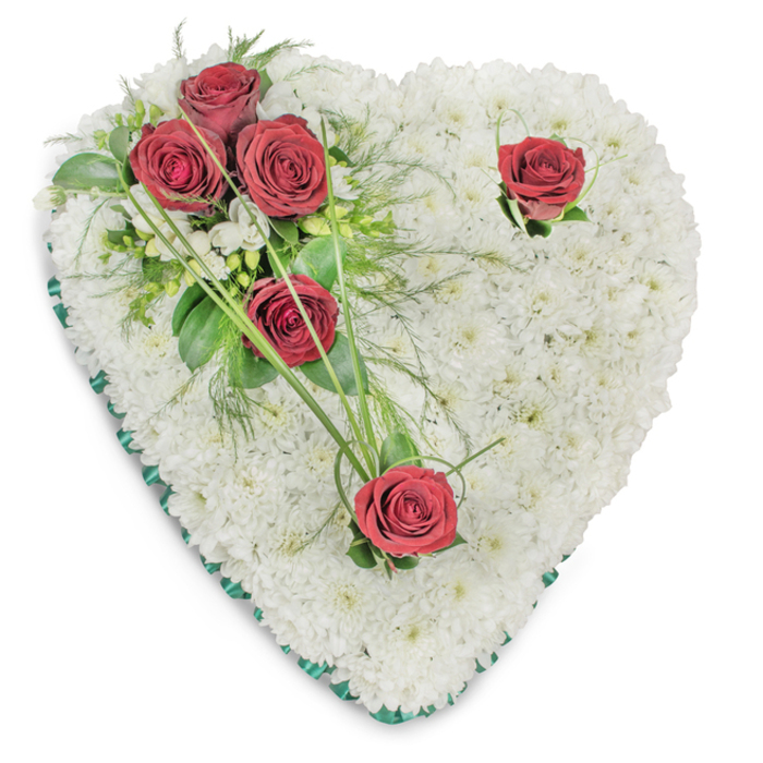 A carefully constructed heart-shaped wreath, photographed against a stark white surface, is composed of a dense, textural foundation of hundreds of small white chrysanthemums. These tiny, pristine blooms are arranged tightly to create a full, cushion-like plane across the entire heart, their rounded forms catching soft, top-down light that highlights the arrangement's sculpted depth. On the upper left quadrant a focused cluster of three deep red roses forms an immediate focal point; their fully opened blooms reveal layered, velvety petals and are tucked into a mix of rich green foliage - broad glossy leaves, fern-like fronds, and thin, arching bear-grass blades that extend outward to add movement and line. Additional floral accents include a scattering of small white filler blooms that mingle subtly with the green, while two separate red roses are positioned deliberately - one near the right curve and another at the bottom center - each accompanied by minimal green sprigs and gently curved grass strands to integrate them into the overall flow. The perimeter is neatly edged with a narrow emerald-green satin ribbon that gives a defined border and a restrained touch of colour contrast. Photographic lighting is even and slightly elevated, casting soft shadows that reveal the chrysanthemum bed's plush texture and the roses' velvety richness. As a traditional funeral heart, this piece reads as an expression of love, remembrance, and respectful farewell - a design frequently requested by local families arranging services near Ickenham station, the village green, or ceremonies at nearby Hillingdon chapels.
