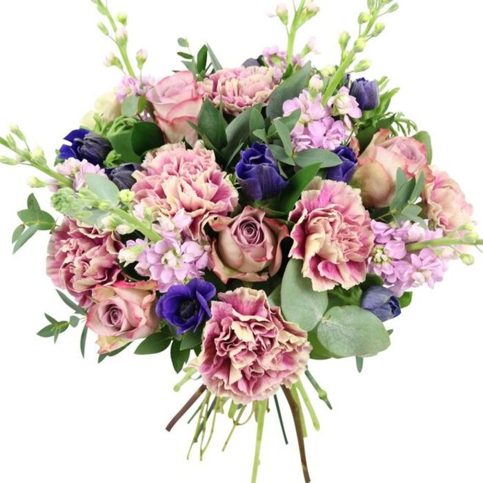 This richly layered bouquet, set against a stark white background, feels both contemporary and classic, like a favourite arrangement gracing a dining table in an Ickenham family home. At the heart of the design, large garden roses in soft blush, dusty mauve, and antiqued rose tones open fully, their spiral centres and many velvety petals forming a luxurious, romantic focal point. Intertwined with them are abundant ruffled carnations, whose multi-layered petals shift from creamy beige and pale blush at the base to deeper rose and plum-pink at their gently curled edges, generating impressive volume and a sense of movement. Between these softer hues, intense indigo-blue flowers appear as closed tulip-like buds or anemone heads, injecting depth and a jewel-like richness reminiscent of twilight skies over nearby parks and green spaces. Near the lower edge of the bouquet, a striking open royal blue anemone with a nearly black central eye commands attention, its velvety texture and dramatic colour anchoring the composition. Rising delicately through the arrangement, slender stems of lilac and pale purple stock carry small, densely packed blossoms, adding a subtle haze of pastel colour and vertical interest. Surrounding the flowers is an abundance of greenery: round, silvery eucalyptus leaves, darker green rose foliage, and slim green stalks that could be snapdragon buds, all combining to give a fresh, natural, slightly wild feel. The stems are firmly gathered and left visible at the base, clearly tied to reveal a hand-crafted bouquet, freshly prepared and ready for delivery across Ickenham by Flower Delivery Ickenham. With its harmonious blend of pinks, purples, blues, and greens, this bouquet feels ideal for anniversaries, weddings, spring celebrations, or as an elegant thank-you gift for neighbours and friends along the high street.