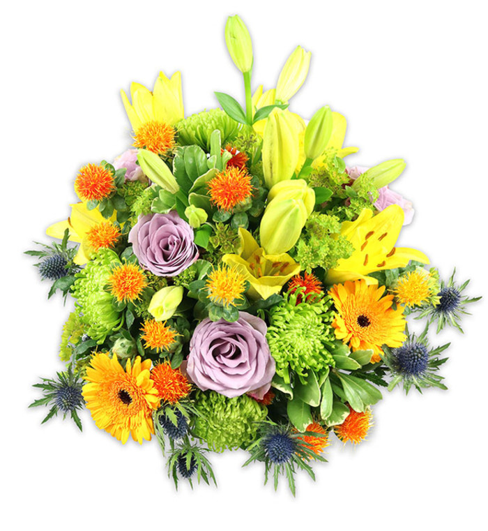 Set against a pristine white field, this compact, mound-shaped bouquet is a study in contrasting textures and harmonious colourwork. Several yellow Asiatic lilies command attention with their broad, trumpet-like blooms-some fully open to display speckled throats and pollen-dusted stamens, others poised as graceful buds that draw the eye upward. Two or more soft lavender roses create a calm focal point with their layered, velvety petals, while vivid orange Gerbera daisies strike a jubilant note with their radiating petal rows and darker central discs. A generous presence of lime-green 'button' chrysanthemums or cushion blooms creates dense, almost mossy pockets that lend volume and a tactile, ruffled surface. Intermingled are small, round, spiky orange and golden-yellow accent flowers-tiny orbs that add twinkling highlights throughout the mass. Blue-grey sea holly or Eryngium thistles emerge along the sides and lower perimeter, offering a cool, star-like geometry that contrasts the bouquet's softer forms. Varied greens-broad, glossy lily leaves, slender stems, and smaller filler foliage-provide a verdant backbone, shaping the silhouette and softening transitions between colours. The lighting is even and natural, revealing subtle color gradations from chartreuse buds to mauve rose petals and the metallic sheen of thistle bracts. This arrangement feels celebratory and warm yet retains contemporary refinement; it would sit beautifully on a dining table in Ickenham Village or as a bright, reassuring gift for sympathy, thanksgiving, or a joyful milestone.