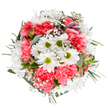 This bouquet, lovingly arranged in Ickenham, glows with the promise and optimism of spring. At its core, pure white daisies shine cheerfully beside ruffled coral-pink carnations, their soft forms evoking the gentle movement of petals on a breeze at Ickenham Marsh. Wispy sprays of gypsophila, delicate as scattered stars, dance across the arrangement, infusing it with a weightless, uplifting charm. Interspersed throughout are hints of blush and purple from closed alstroemeria buds, suggesting a subtle sophistication and promise of future bloom. Cool eucalyptus leaves, their silvery tones and fresh aroma, frame the bouquet and balance the display, drawing attention to the artistry behind every stem. The carefully chosen palette and radiant textures conjure feelings of happiness and renewal, ideal for celebrating a loved one's birthday, congratulating a local milestone, or sharing a simple note of encouragement. Every floral selection and placement reflects Ickenham's devotion to quality and heartfelt artistry, making this a true celebration of local floral craftsmanship.