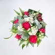 From a clear top-down view, a full, rounded bouquet bursts against a brilliant white background, letting every vivid detail stand out as if laid on fresh snow. At the heart of the design, large hot pink carnations unfurl in intricate ruffles, their many layered petals creating a plush, almost velvety texture that feels exuberant and joyful. Deep pink and fuchsia roses nestle between them, some fully open in classic spirals, others still in tight buds that promise more colour to come. Scattered throughout are clusters of small white spray chrysanthemums, their daisy-like faces adding softness and a gentle glow, while airy sprays of white gypsophila thread through the arrangement like tiny clouds. A few slender white buds, reminiscent of alstroemeria or lily blooms, add a hint of refined elegance and purity. All of this colour is grounded by lush greenery: rounded, silvery-green eucalyptus leaves with their smooth, slightly waxy surface mingle with fresher, brighter green foliage, and broader, darker leaves-likely folded aspidistra-form a structured, collar-like frame around the bouquet. The composition feels carefully crafted yet natural, the kind of hand-tied arrangement a local florist might prepare for a celebration in Ickenham, perhaps to brighten a home near Swakeleys Park or accompany a family gathering off Long Lane. The mood is upbeat and affectionate, perfectly suited to birthdays, congratulations, or cheering up a loved one. Even without scent, you can almost imagine a fresh, garden-like fragrance rising from the blooms, carrying hints of spring air across a light-filled Ickenham living room.